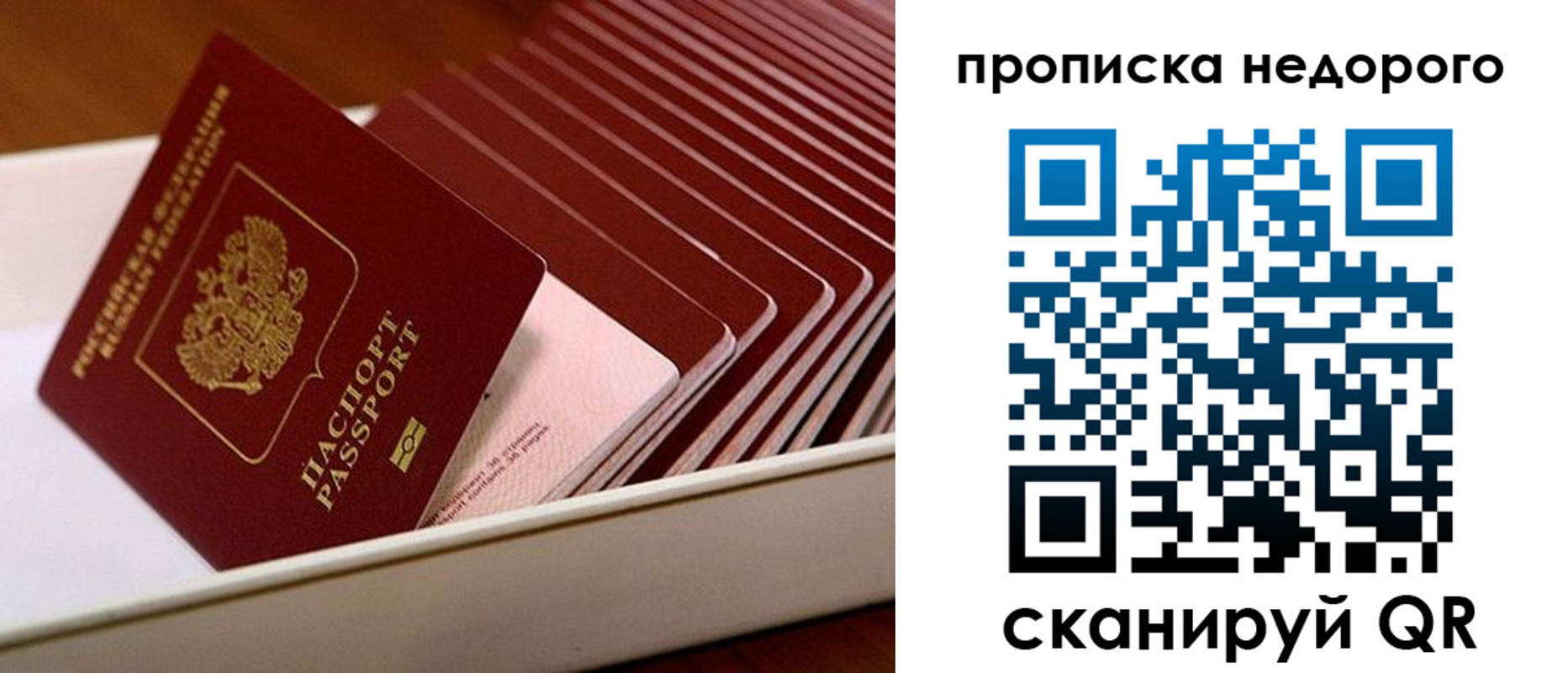 прописка паспорт в Алтайском крае